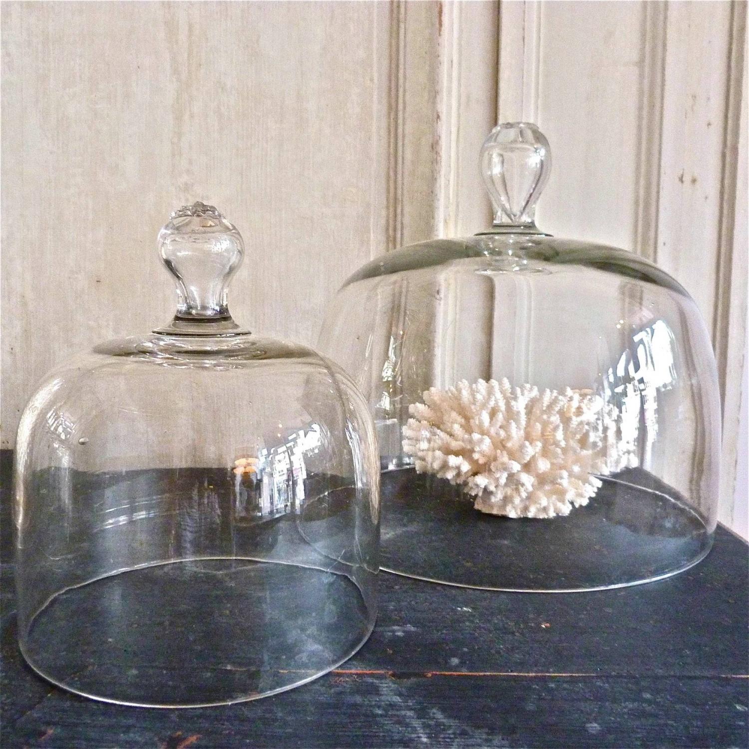 VICTORIAN GLASS CLOCHES WITH FLOWER ETCHED HANDLE