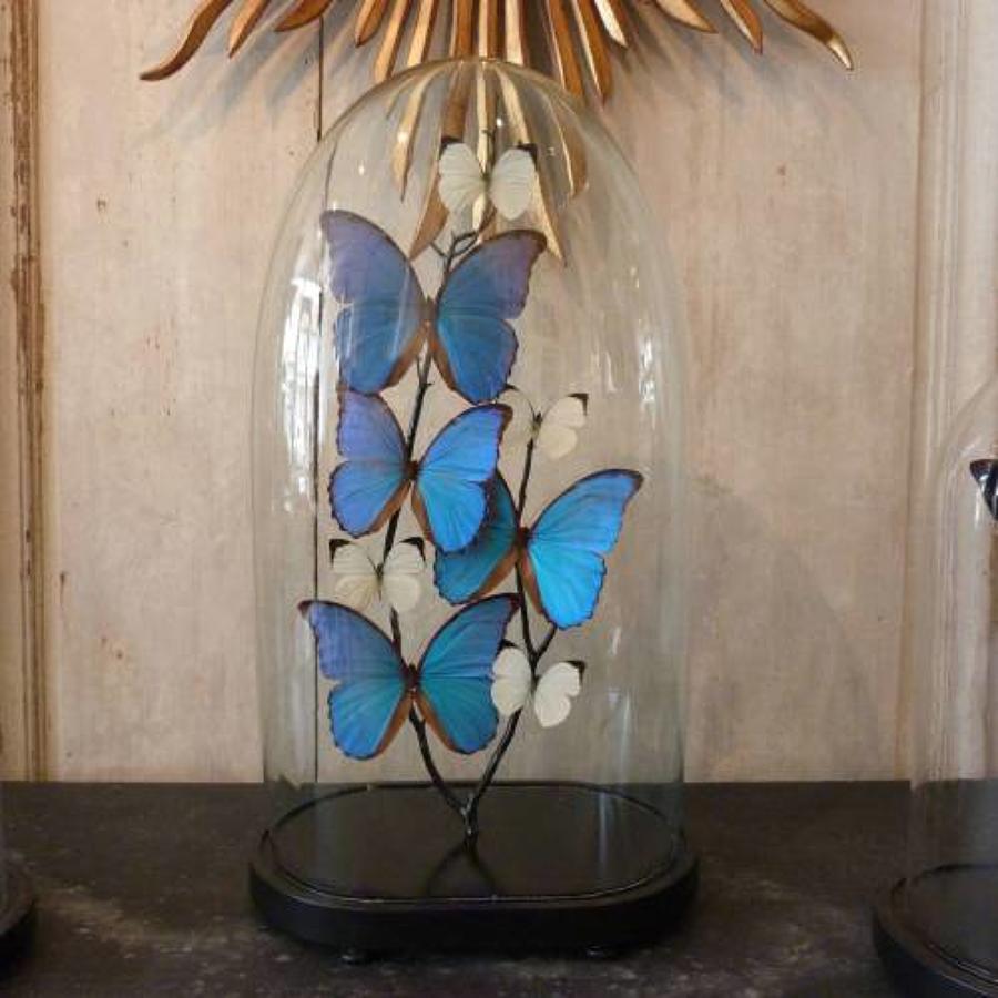 VICTORIAN GLASS DOME WITH BLUE & WHITE BUTTERFLIES