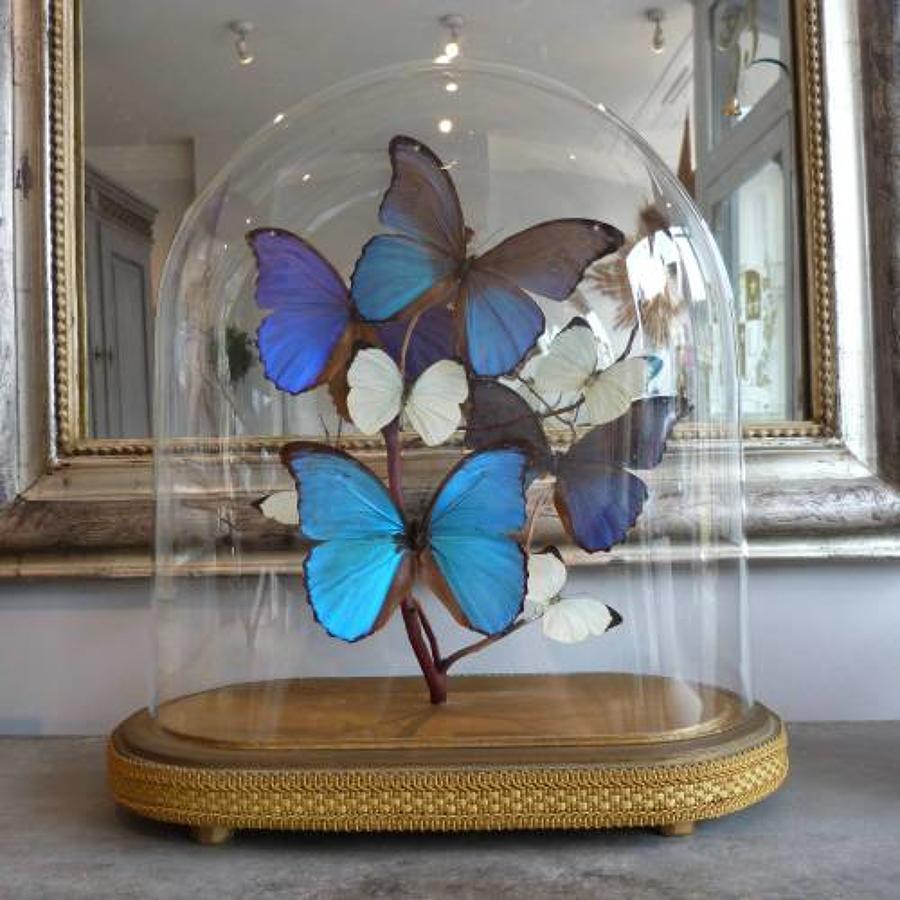 VINTAGE GLASS DOME WITH BLUE & WHITE BUTTERFLIES